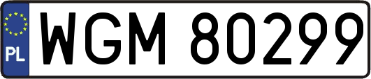 WGM80299