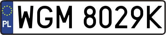 WGM8029K