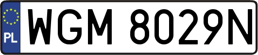 WGM8029N