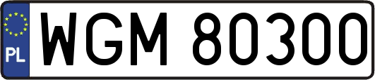 WGM80300