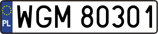 WGM80301