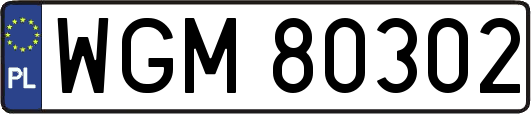 WGM80302