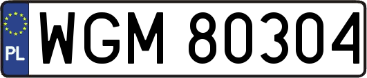 WGM80304