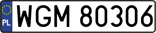 WGM80306