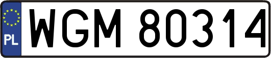 WGM80314