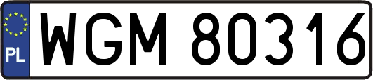 WGM80316
