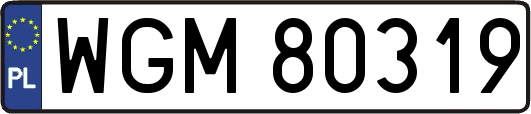 WGM80319