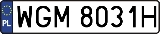 WGM8031H