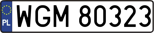 WGM80323
