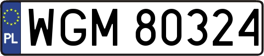 WGM80324