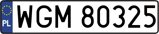 WGM80325