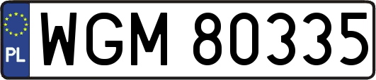 WGM80335