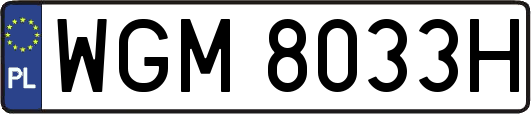 WGM8033H