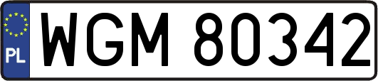 WGM80342