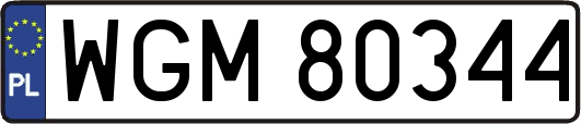 WGM80344