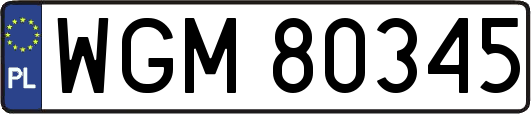 WGM80345