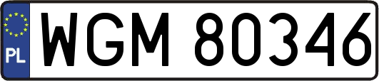 WGM80346