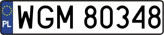 WGM80348