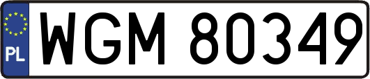 WGM80349
