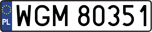 WGM80351