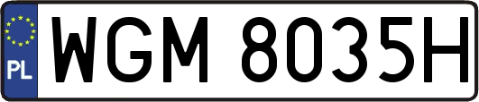 WGM8035H