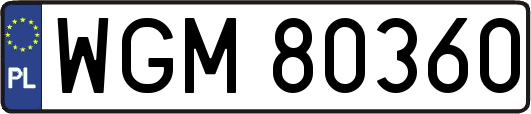 WGM80360