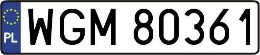 WGM80361