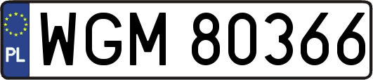 WGM80366