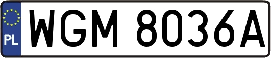 WGM8036A