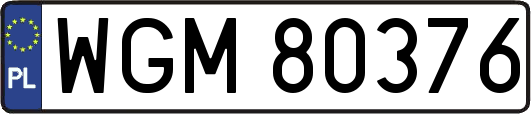 WGM80376