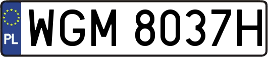 WGM8037H