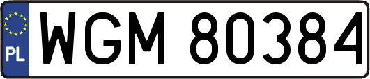 WGM80384
