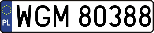 WGM80388