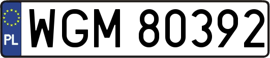 WGM80392