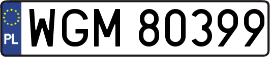 WGM80399