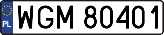 WGM80401
