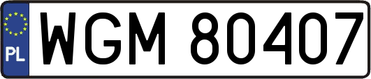 WGM80407