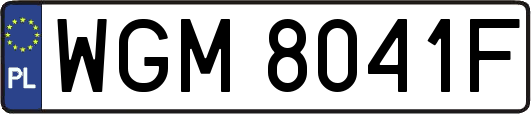 WGM8041F