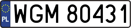WGM80431