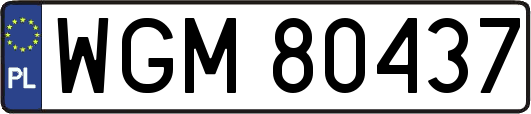 WGM80437