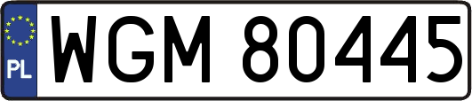 WGM80445
