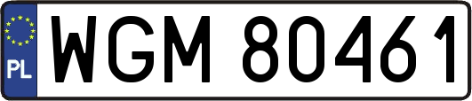 WGM80461
