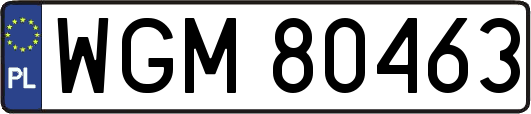 WGM80463