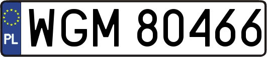 WGM80466