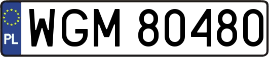 WGM80480