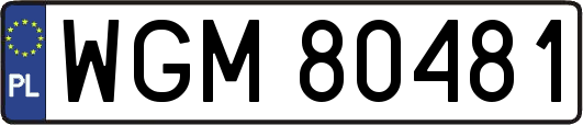 WGM80481