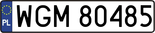 WGM80485