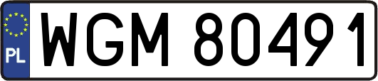 WGM80491