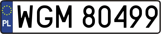 WGM80499