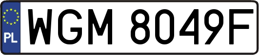 WGM8049F